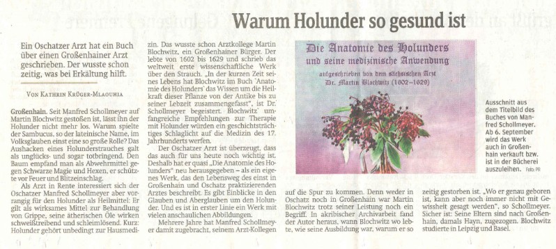 Artikel - Warum Holunder so gesund ist - Sächsische Zeitung