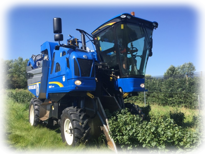 New-Holland-Braud-9060l-Raabtaler-Beeren-Ernte-Team