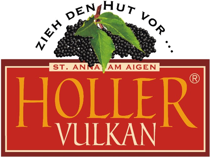 Holler-Vulkan-Logo-1239x930
