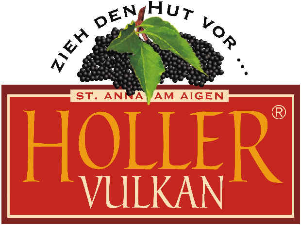 Holler-Vulkan-Logo-620x465