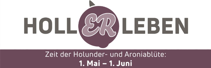 flagship products hollerleben logo